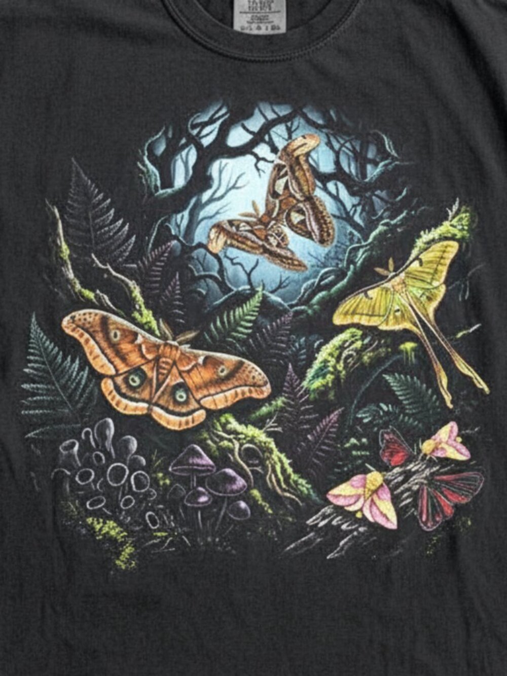 90s Moths Woodland Habitat Graphic Tee | Cottagecore Entomology Shirt - Picture 3 of 5